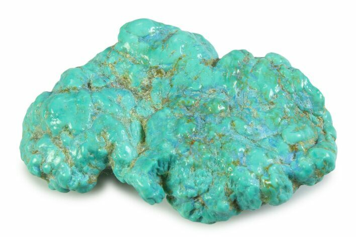 Polished Chilean Turquoise ( grams) Nugget #358850